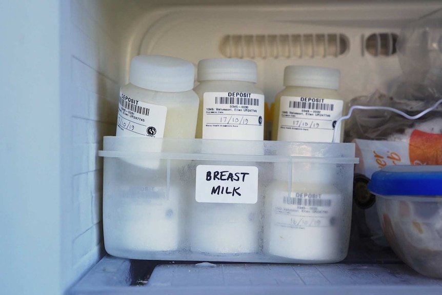 Frozen breast milk in a freezer, for a story about a breastmilk bank.