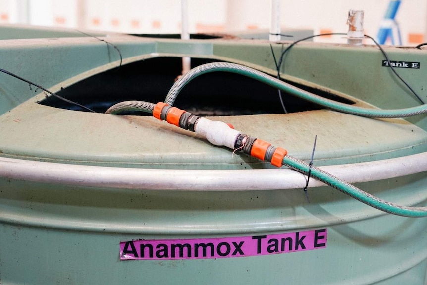 Green plastic tank with hoses and Anammox Tank E written on it.