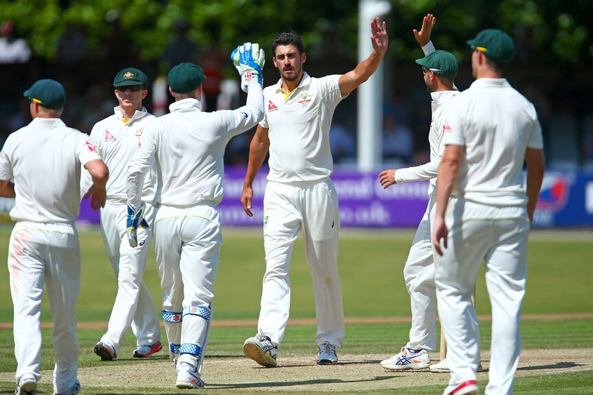 Mitchell Starc celebrates a wicket against Essex