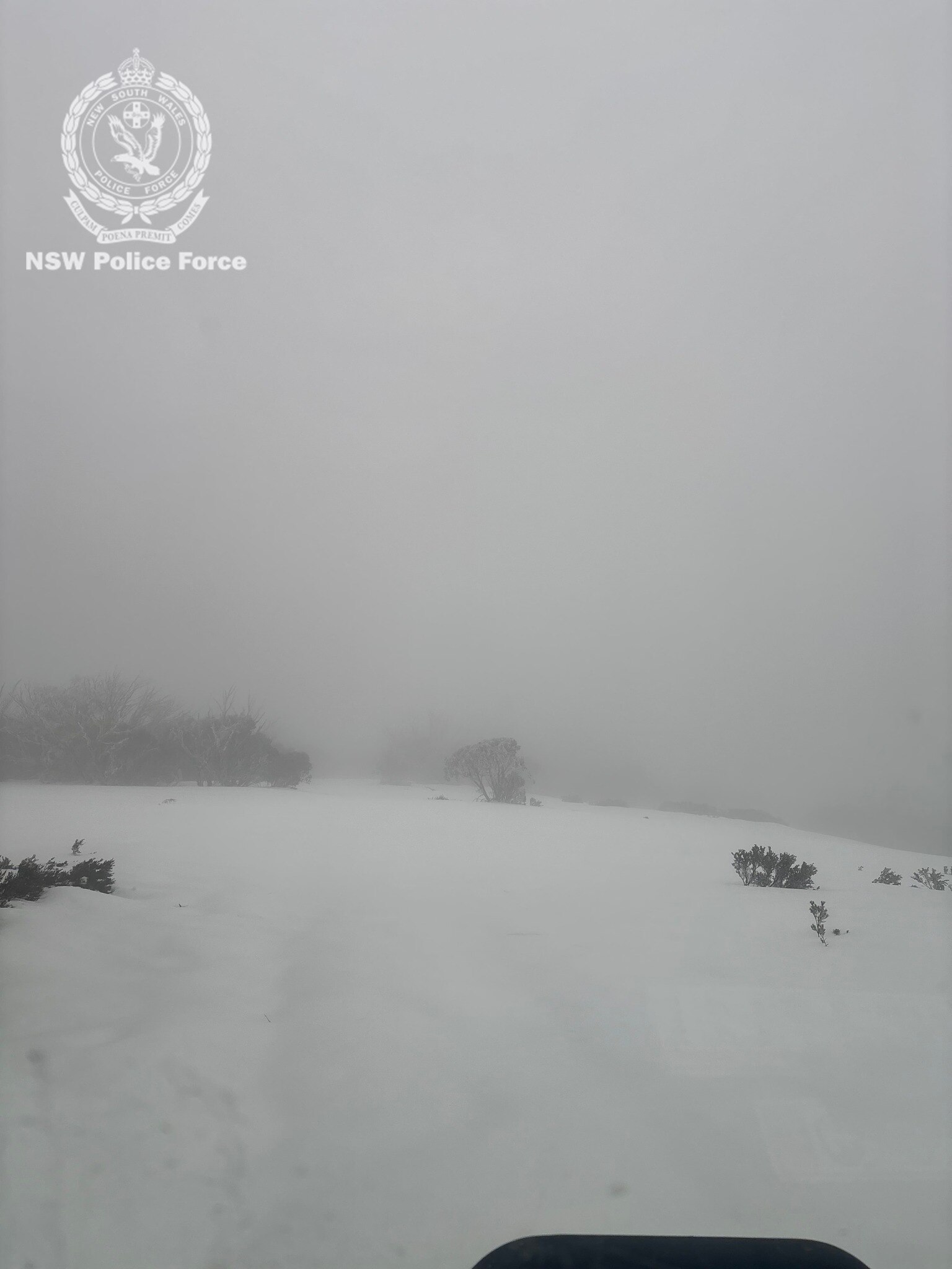 A car that drives snow with heavy fog around them. 