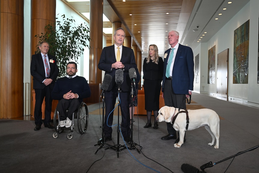 Bill Shorten at Parliament House doing a press conference