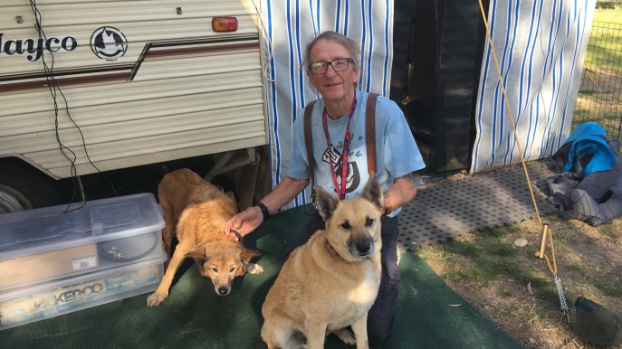 Man and two dogs in front of a caravan