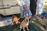 Man and two dogs in front of a caravan