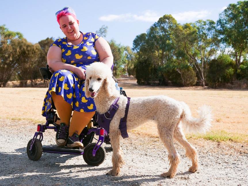 Woman in brightly coloured dress on wheelchair with poodle on gravel trail.