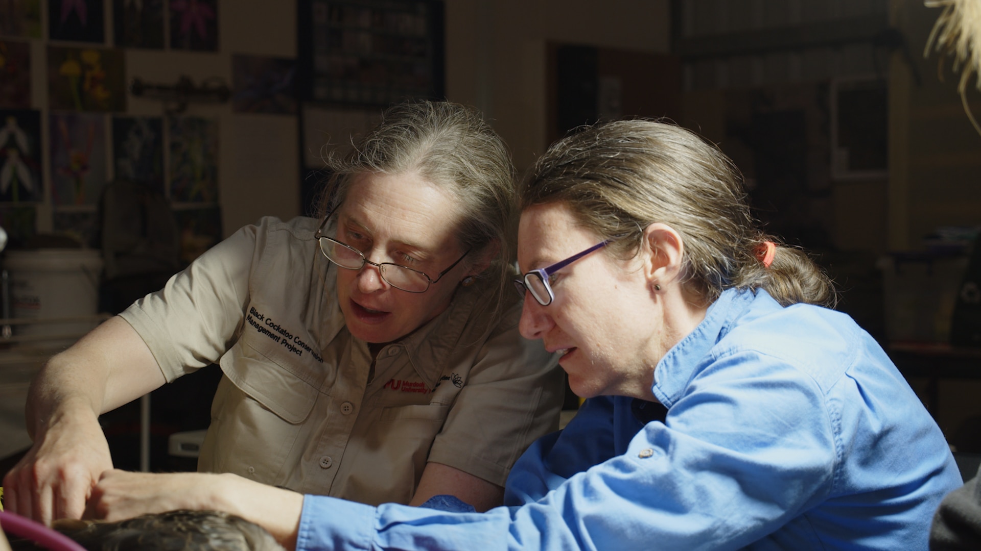 Two women tag a bird and talk