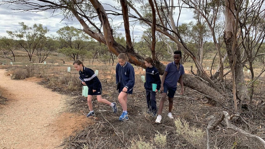 Four kids standing next to a tree