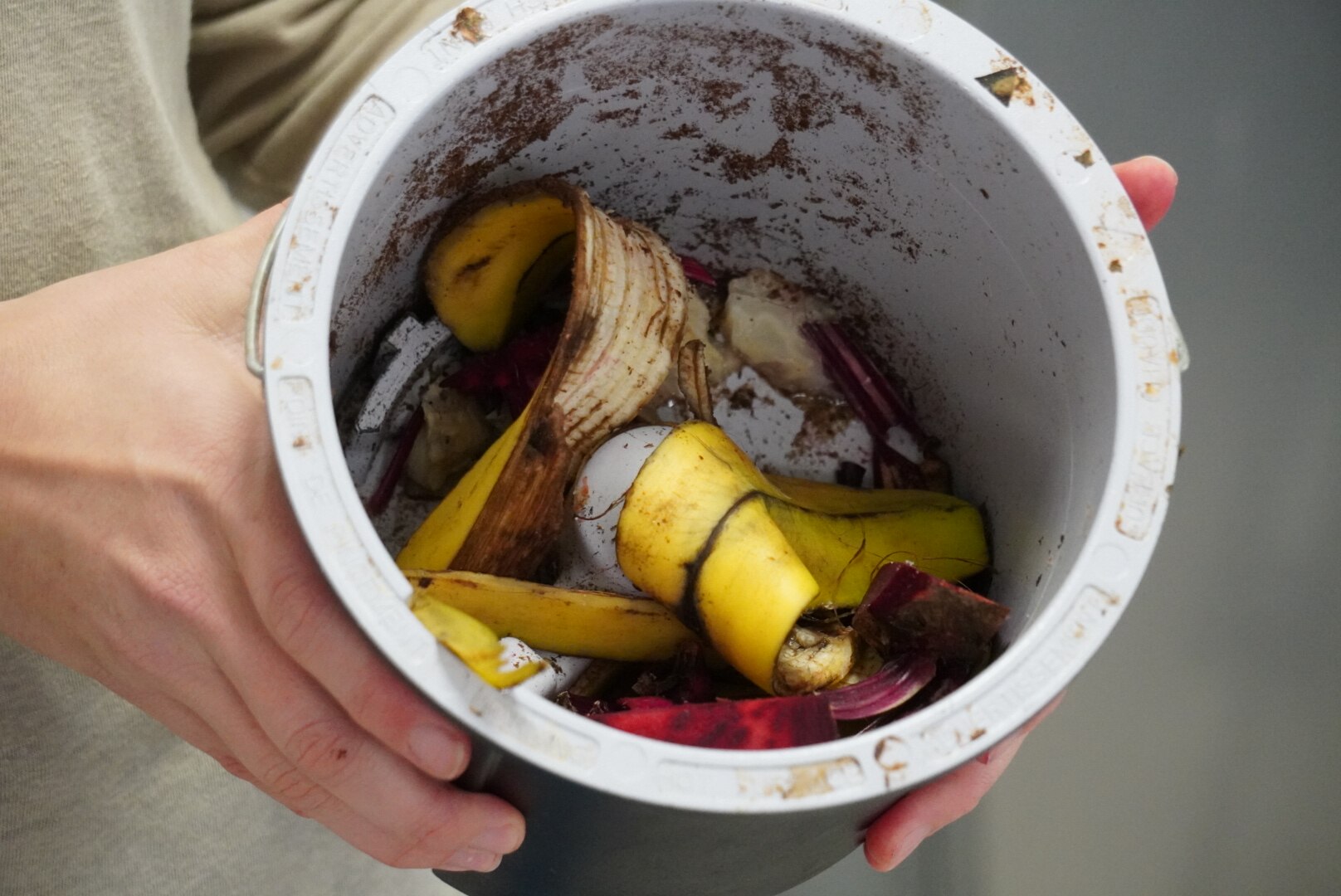 A bucket containing banana peel and other food scraps is seen