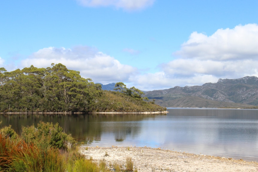 A lake surrounded by the forest.