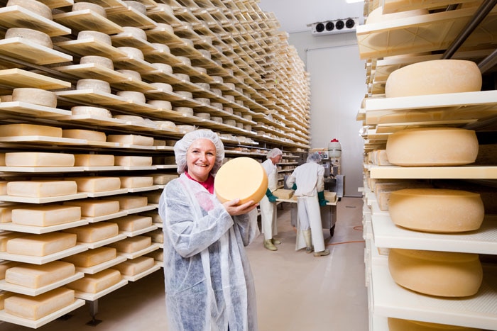 Ulli Spranz surrounded by shelves of cheese wheels at the biodynamic dairy Paris Creek in South Australia