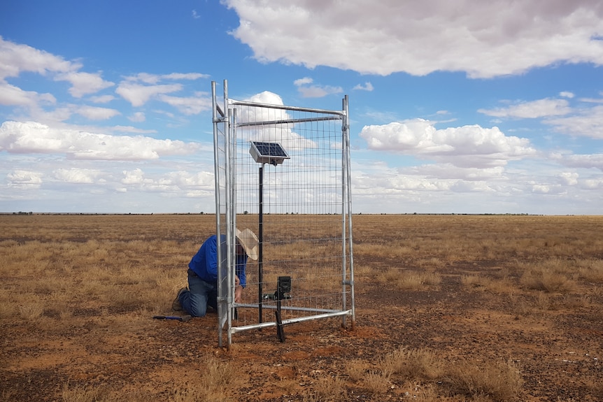 A man in a blue shirt crouching down beside a solar panel surrounded by tall fencing