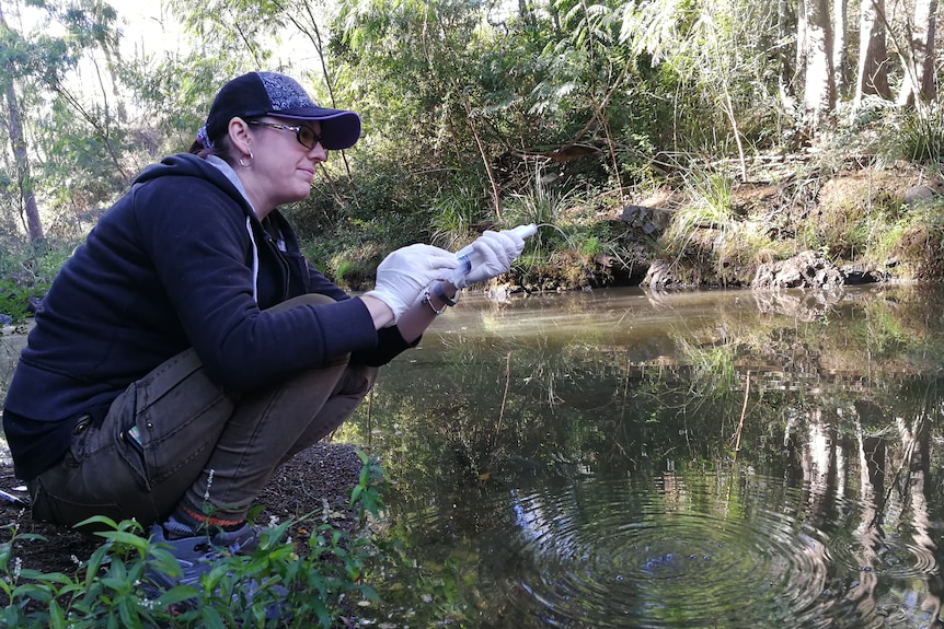 a woman sits by a creek with research equipment in her hands. She is conducting environmental DNA sampling.