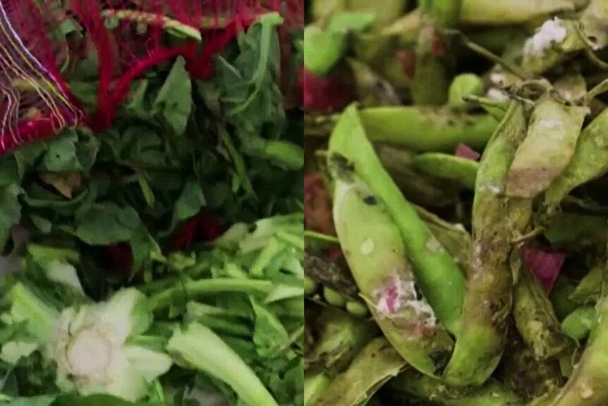 Two images of rotting green vegetables.