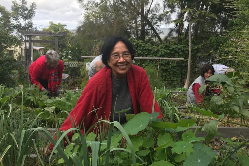 Community Garden