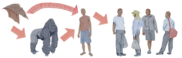Ebola transmission illustration
