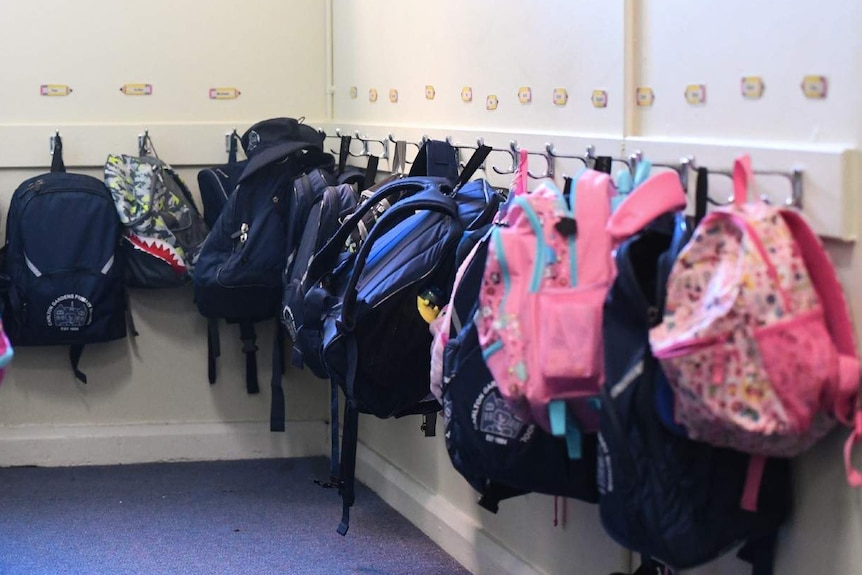 school backpacks  being held up by hooks on a wall