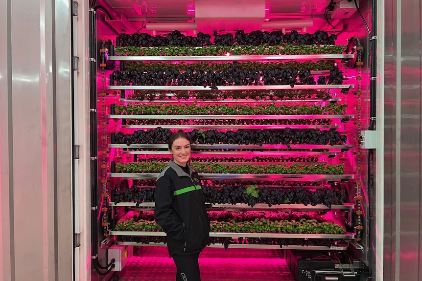 A young woman stands in front of an open shipping container with rows of plants in pink lights.