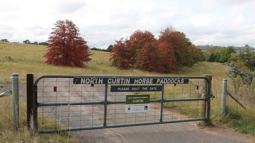 Image of trees and grasslands at North Curtin horse paddocks prior to development into diplomatic precinct.