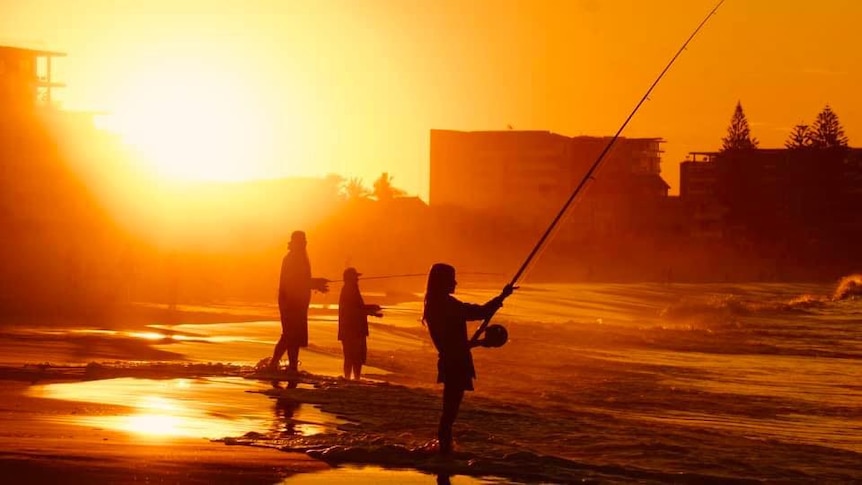 people holding fishing rods and fishing at a beach