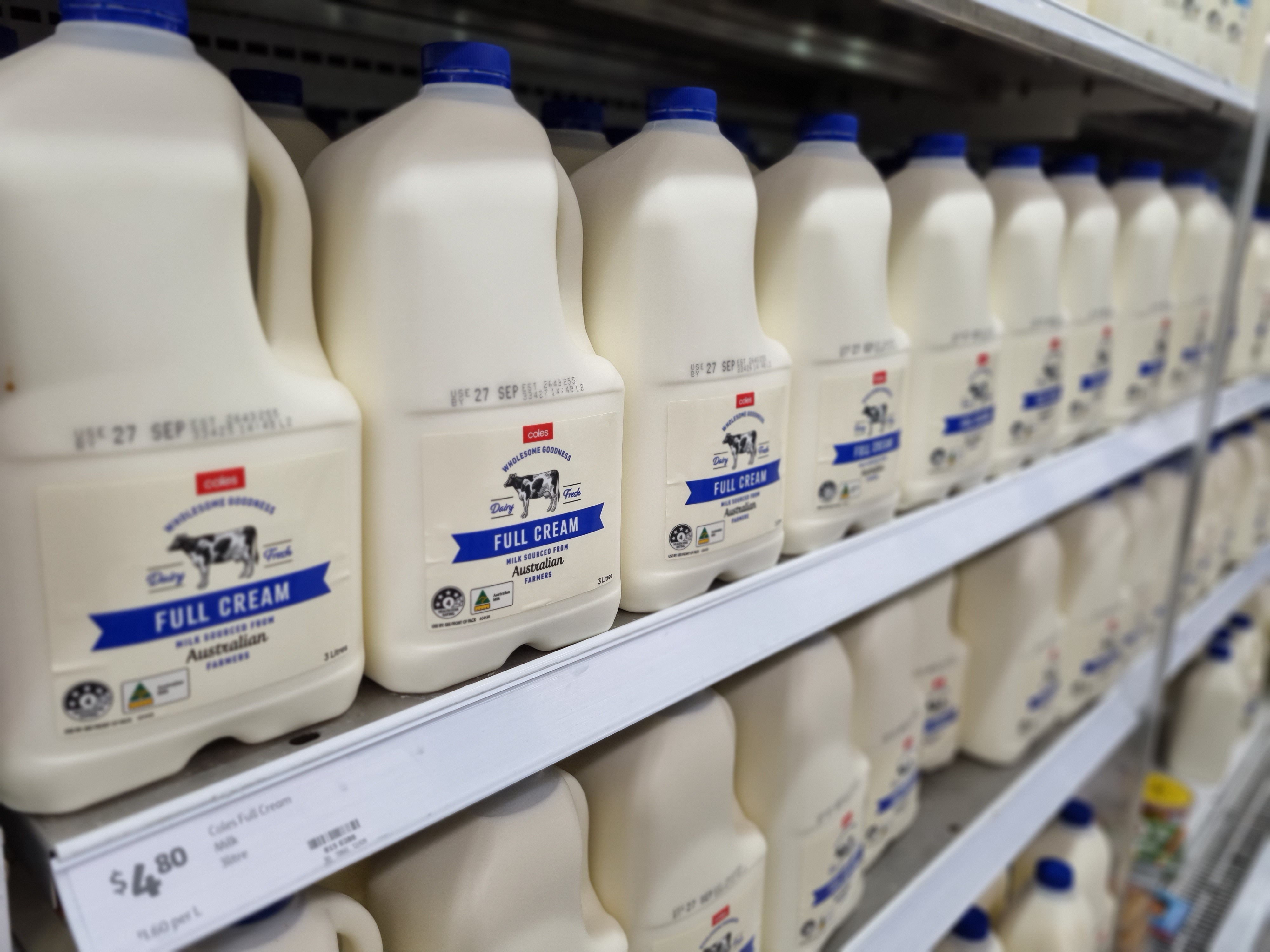 Milk on supermarket shelf showing price  