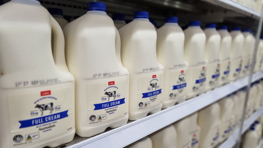 Milk on supermarket shelf showing price  