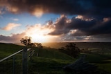 sunrise over rolling green hills