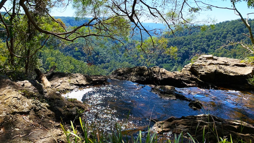 A small rockpool in unspoilt bushland.