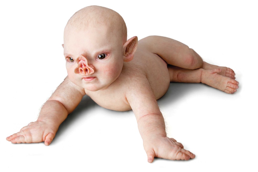 Patricia Piccinini 'Prone' (2011)