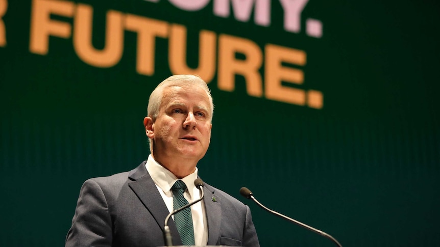 Deputy Prime Minister and Nationals leader Michael McCormack speaks at the Coalition's federal election campaign launch.