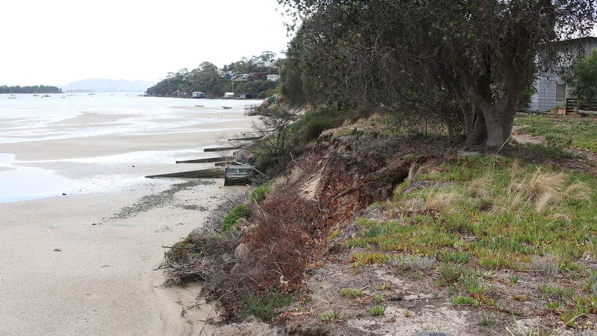Eroded shoreline at Lewisham, Tasmania.