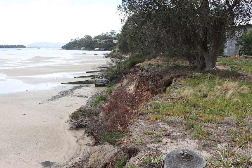 Eroded shoreline at Lewisham, Tasmania.