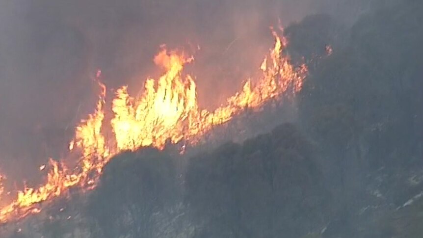 Flames burning through trees and land in the Adelaide Hills