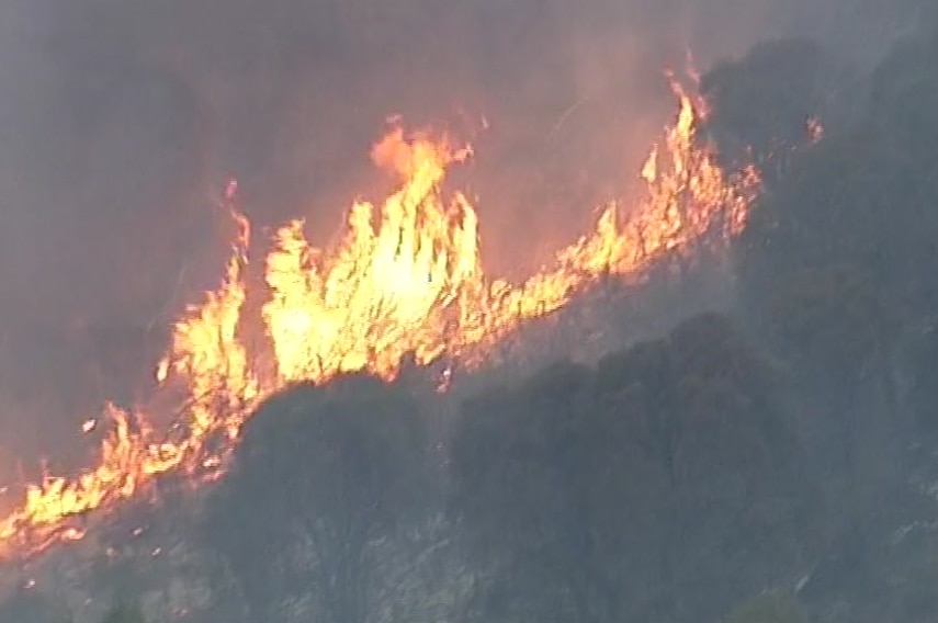 Flames burning through trees and land in the Adelaide Hills