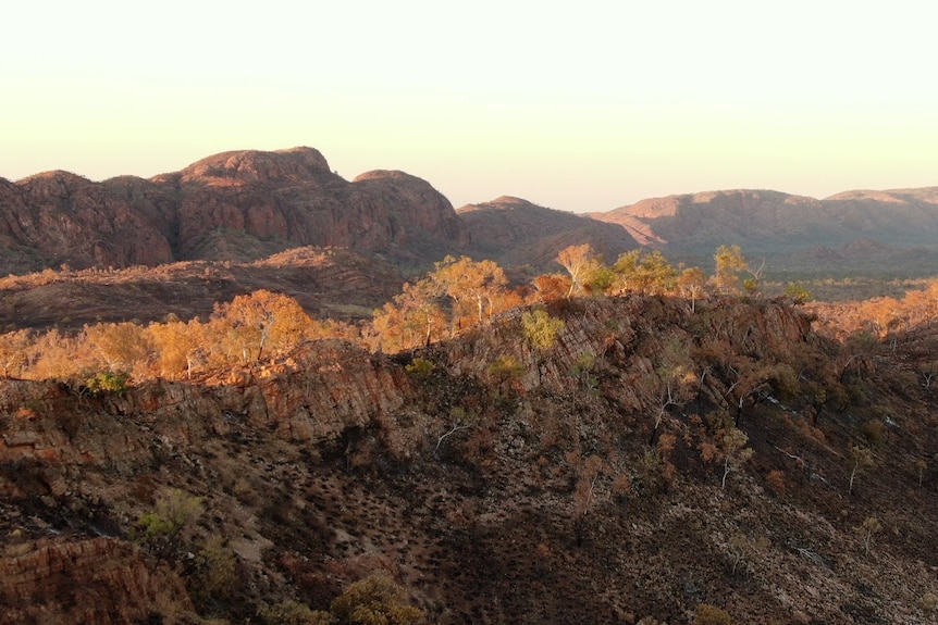 Rocky outcrops.