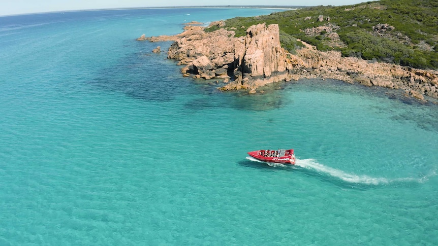 A red jet boat speeds through crystal blue waters near a rocky headland.