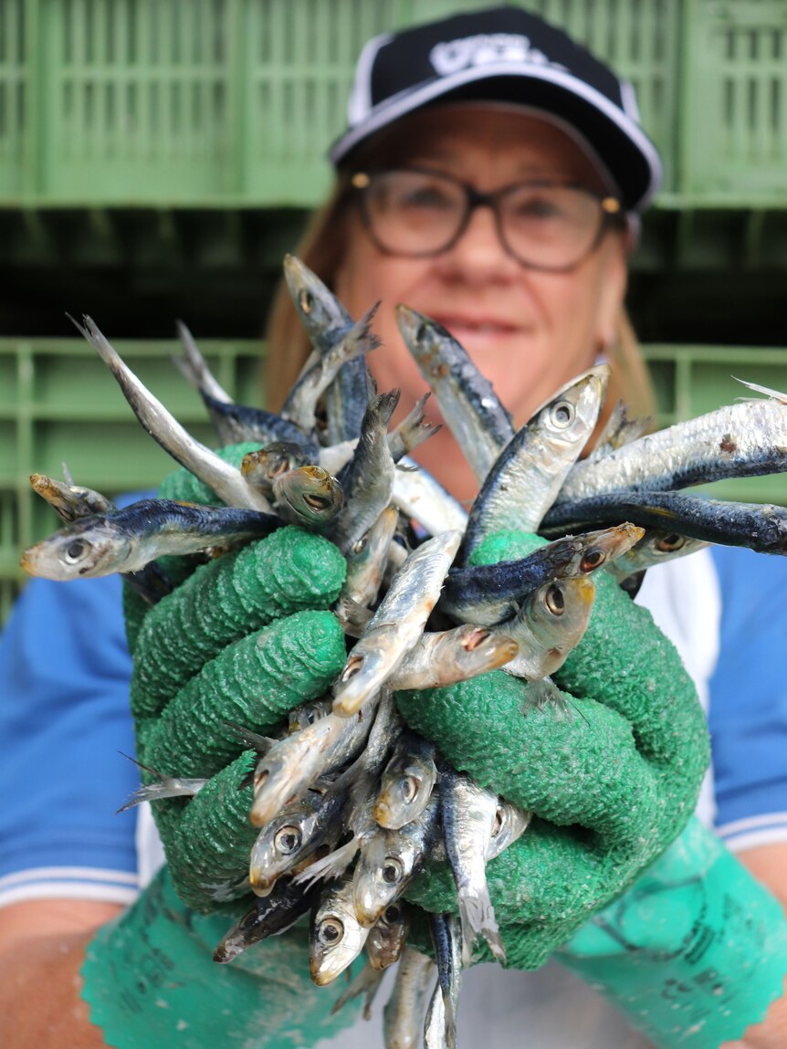 Headshot of a smiling woman in a hat holding a handful of small fish up to the camera.