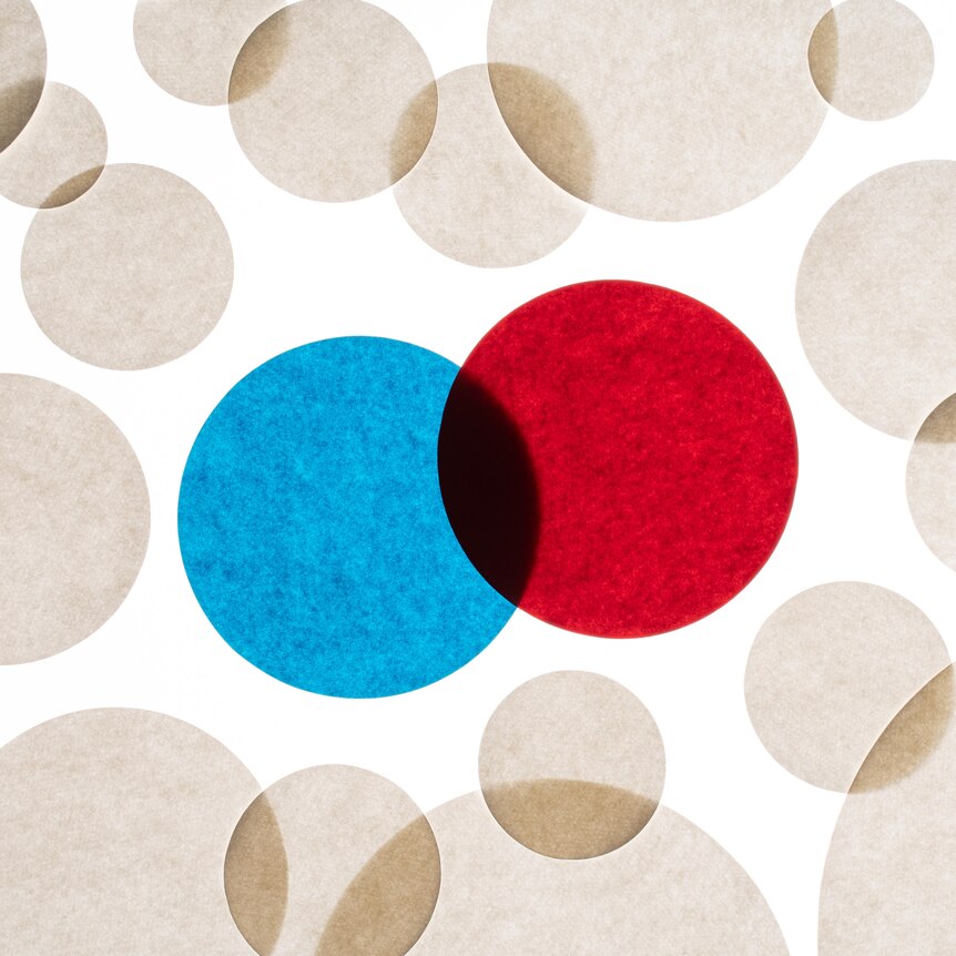 Artwork of overlapping sheer paper circles. Most are a grey colour, with two central overlapping circles that are red and blue.