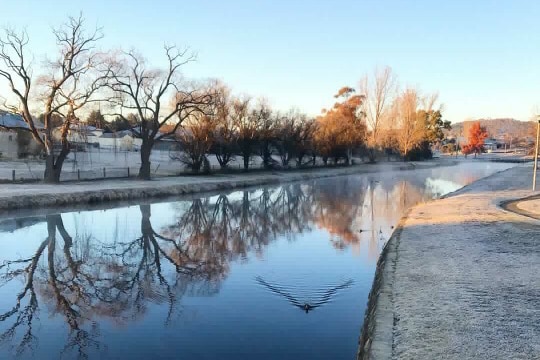 Frost on the ground at Quart Pot Creek in Stanthorpe on the morning of July14, 2018.