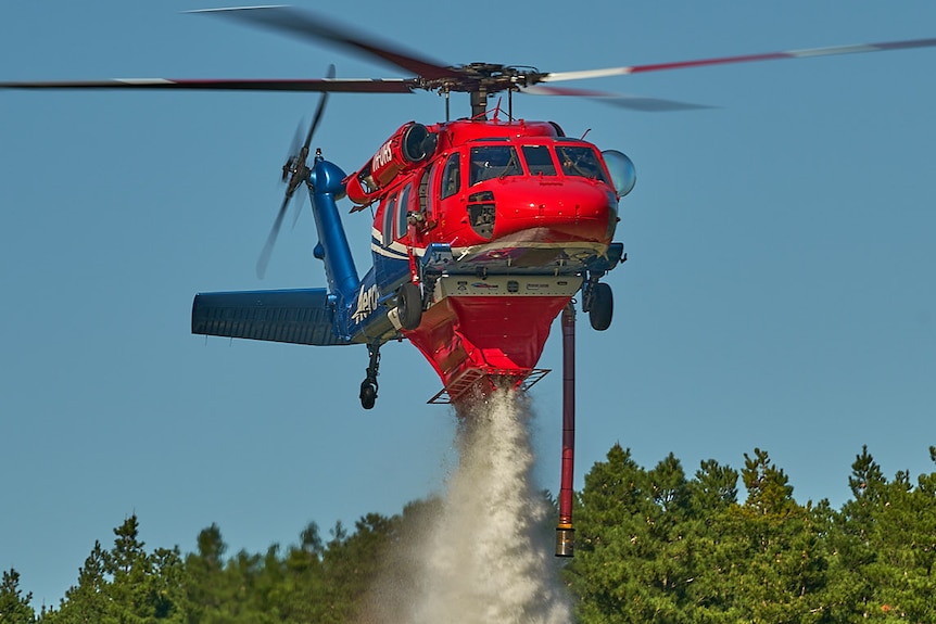 A red and blue helicopter flying over pine trees with water coming from the bottom