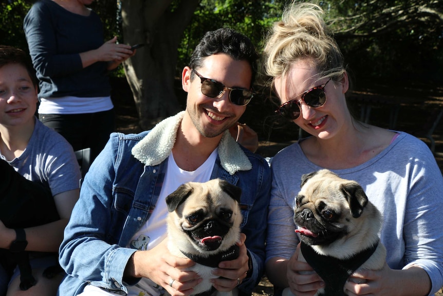 Alex and Emma pose with their pugs Biscuit and Pikelet