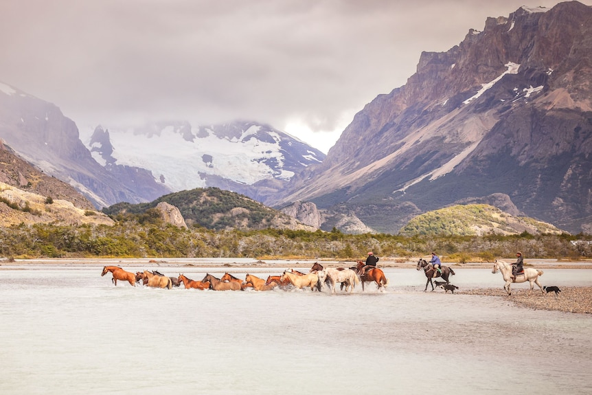 Horses walk through water in a mountain valley with snow and clouds.