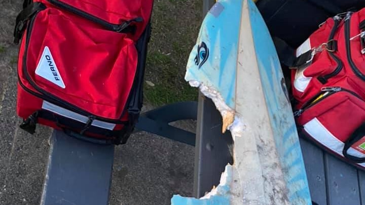  a ablue and white surfboard with a large bite mark out of the front of it. 