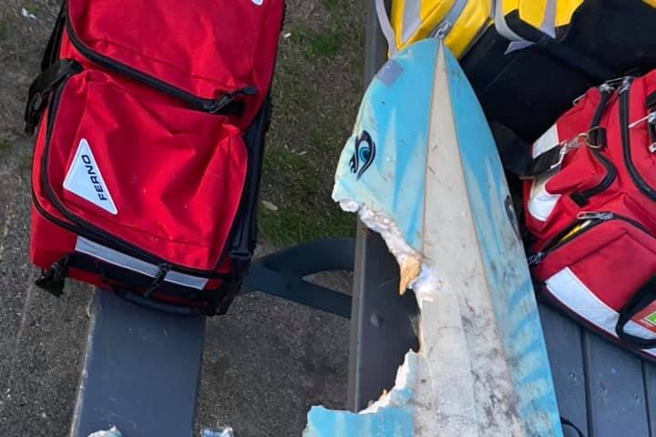  a ablue and white surfboard with a large bite mark out of the front of it. 