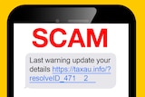 A phone has text on it that reads: "Scam. Last warning update your details."