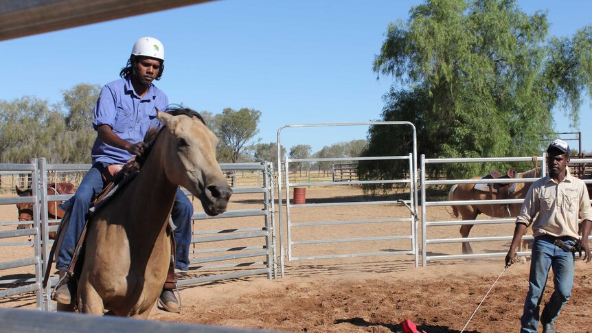 A young man teaching another how to break a horse at the Pastoral Real Jobs Program.