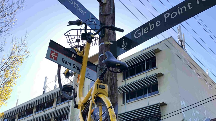 A bike up a street sign.