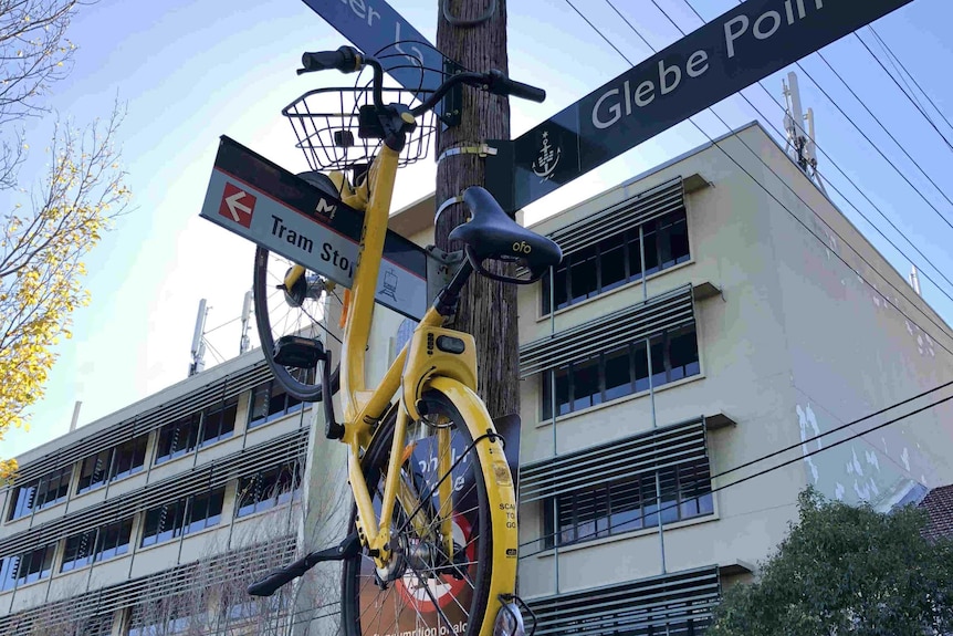 A bike up a street sign.