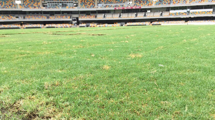 Damage to grass at the centre of the Gabba in March 2017 following two concerts from Adele.