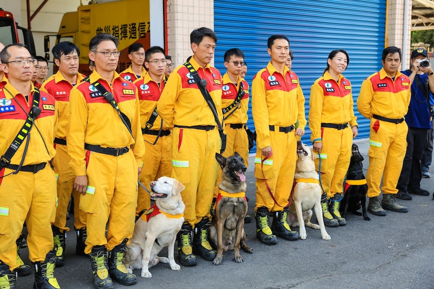 A group of people lined up in bright yellow jumpsuits with four dogs. 