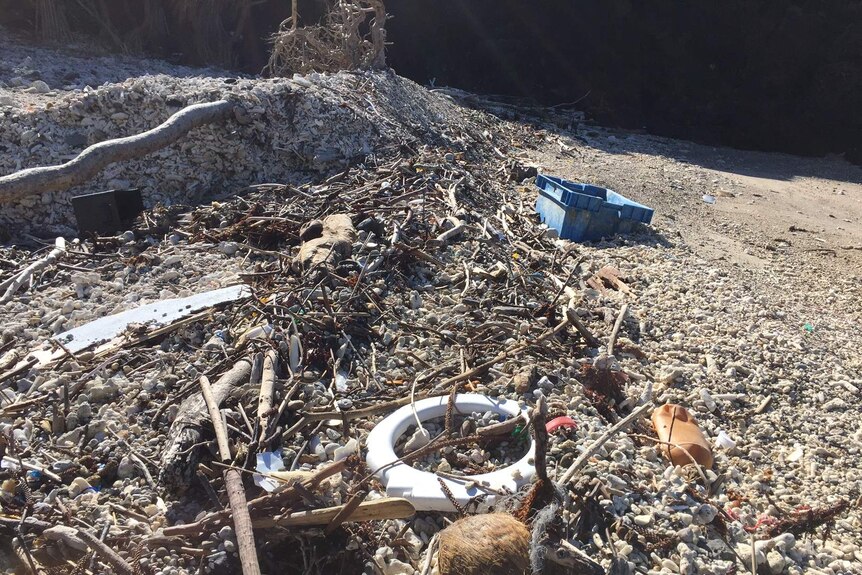 Rubbish, debris and dead coral on a beach in the Whitsundays