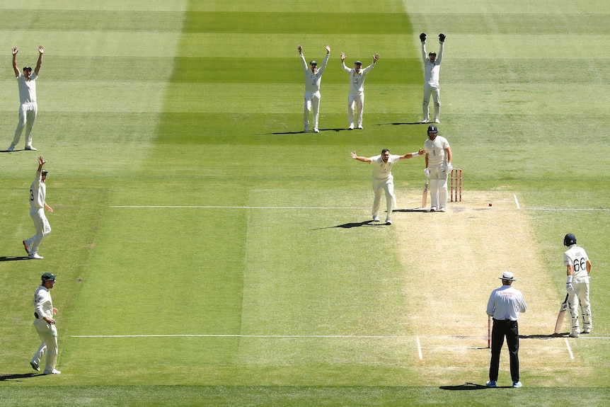 A number of Australian players holds their arms up and appeal to the umpire